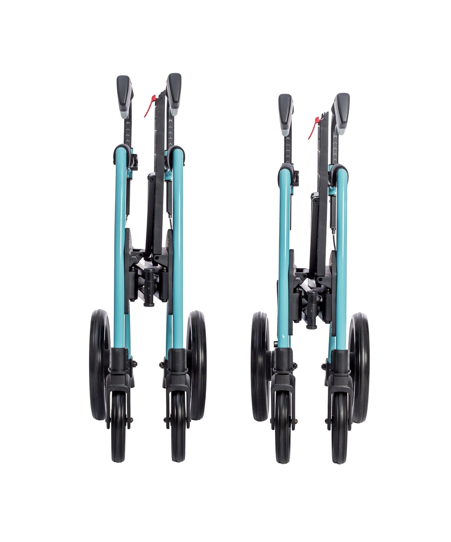 Rollz Motion
